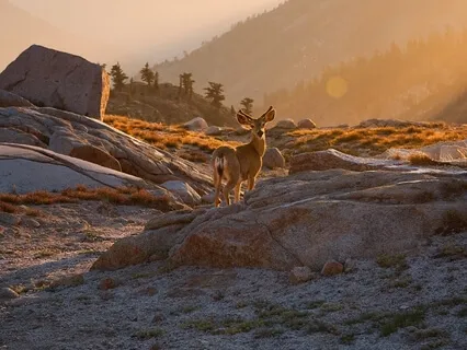 New Beginnings/The Gift Of The Day