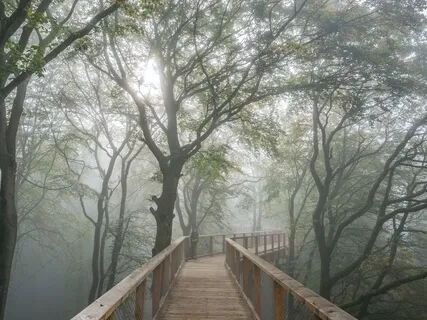 New Beginnings: Something To Consider