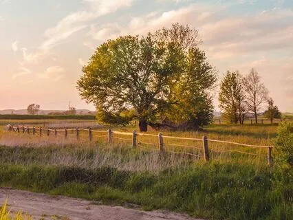 New Beginnings Sound Healing