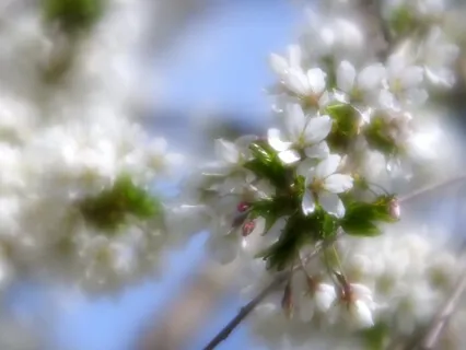 New Beginnings: Spiritual Cleanse