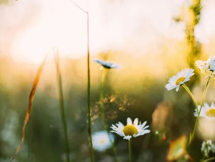 New Beginnings: Spring Equinox