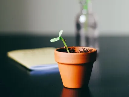 New Beginnings With Love