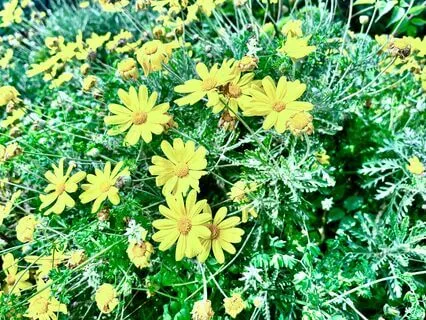 New Business Opportunities Affirmations