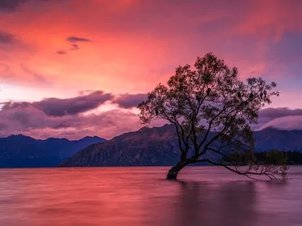 New Dawn Yoga Flow Music