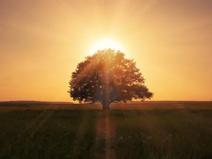 New Dawn | Relaxing Ambient Music