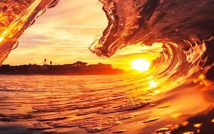 New Day, New Wonders