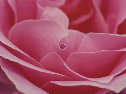 New Dimensions of Love  