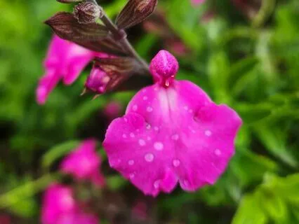 New Dimensions Radio Interview – Part 2: Ancestral Healing