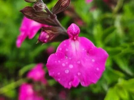 New Dimensions Radio Interview – Part 4: Magic Of Mantras