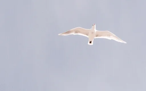 New Earth Meditation Relaxation