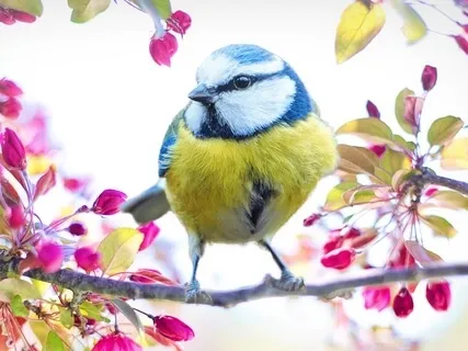 New Earth Meditation