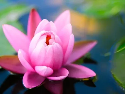 New Eden #3: Becoming Love