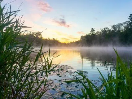 New + Fresh Day - Open Up To New Experiences + Opportunities