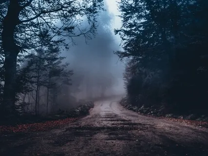 New - Healing Sleep Music For Mindset