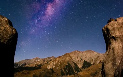 New Inner Domain Races & Intervention Protocol - Randi Green