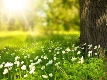 New Inspiring Short Story: In The Garden