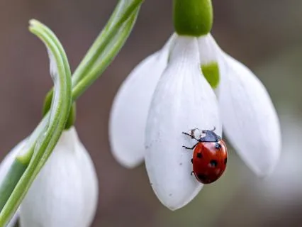 New Moon: 3-Minute Intention Setting