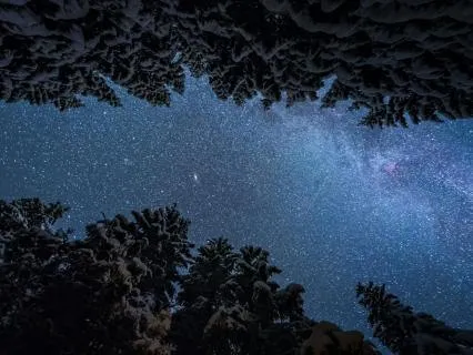 New Moon Activation - Void To Vision