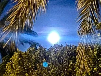 New Moon Affirmations