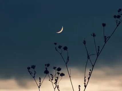 New Moon Awakening Ritual: What Happens Next, You Decide
