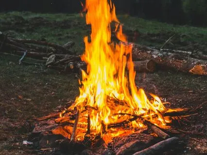 New Moon Bharani | Aries | Vedic Astrology