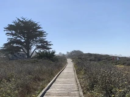 New Moon - A New Healing New Project New Attitude New Way Of Living