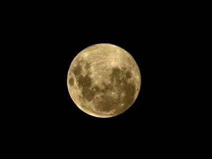 New Moon In Cancer | Come Home To Yourself  14 July 26