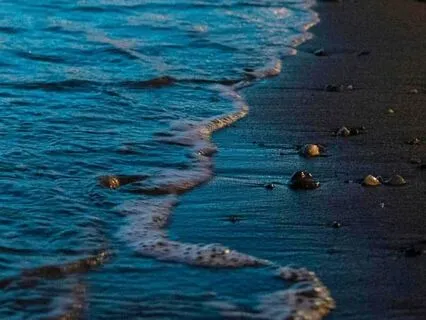 New Moon In Cancer Meditation | June 2025