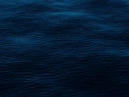 New Moon In Cancer Meditation - Root Boldly, Rise Fully