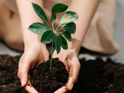 New Moon In Capricorn | New Year Intentions