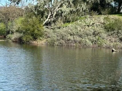 New Moon In Capricorn, Uranus Ends 13 Yr Cycle, And More!