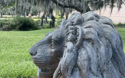 New Moon In Leo Channeled Reading & Affirmation Meditation