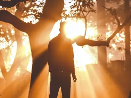 New Moon In Leo - Reconnecting With Your Inner Light