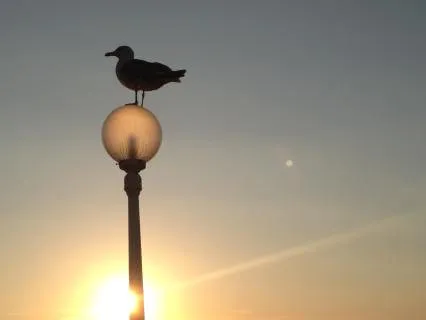 New Moon In Libra Choose Peace, Balance & Self-Love