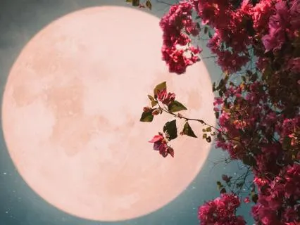 New Moon In Libra: Manifest Healthier Relationships