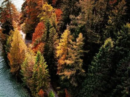 New Moon In Libra -  October 2025