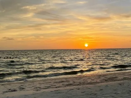 New Moon in Libra Tarot & Oracle Reading 