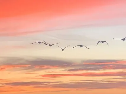 New Moon In Pisces - A New Beginning. Insight Timer Live