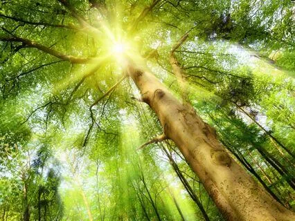 New Moon In Pisces (Feb 2025) Playing With Magic!