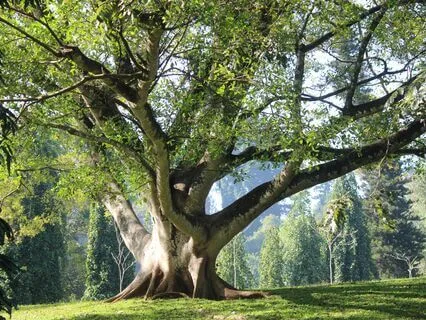 New Moon In Pisces Meditation