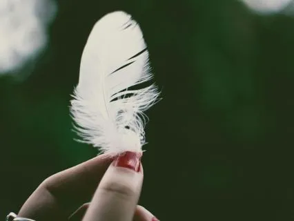 New Moon In Sagittarius -  December 2025