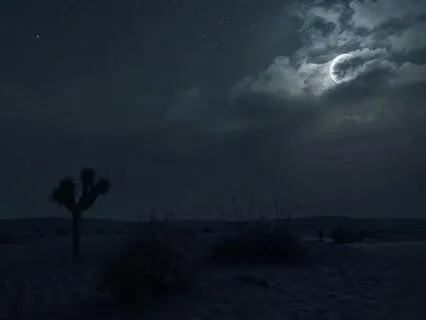 New Moon In Sagittarius: Truth, Hope & Inner Light