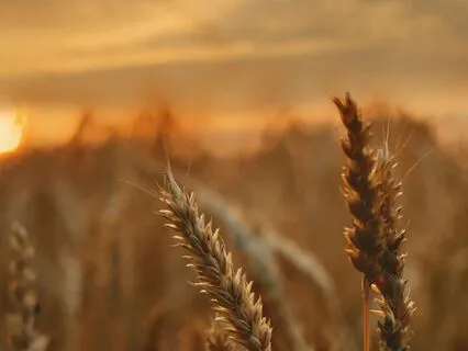 New Moon In Virgo Practice | September 2025