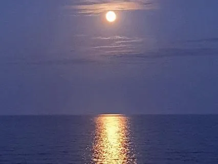 New Moon In Virgo | Reset, Realign & Become