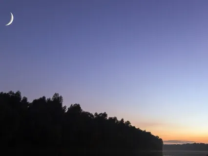 New Moon In Virgo Yoga Nidra: Ground To Grow