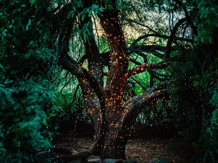 New Moon Intention Setting Meditation