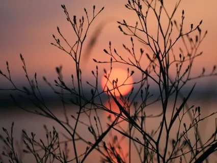 New Moon Manifestation Meditation