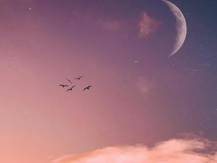 New Moon Manifestation