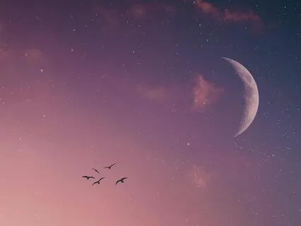 New Moon Manifesting And Future You Meditation