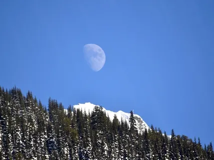 New Moon Meditation For Calming The Heart  & Mind